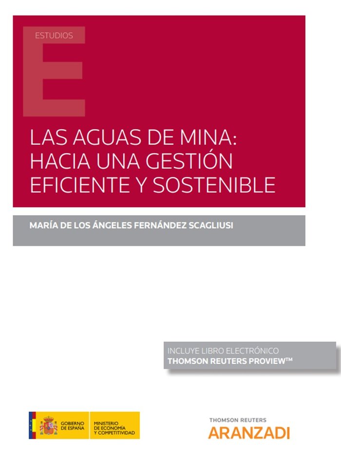 Las aguas de mina: hacia una gestión eficiente y sostenible (Papel + e-book), de Fernández Scagliusi, María de los Ángeles | 