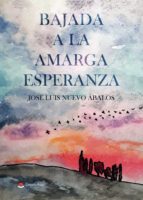Bajada a la amarga esperanza, de José Luis Nuevo Ábalos | portada del libro