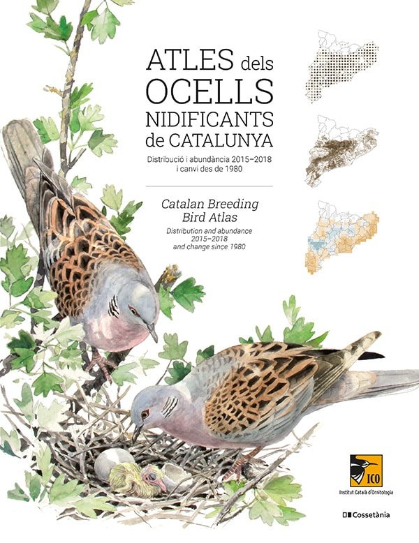 Atles dels ocells nidificants de Catalunya, de RAMON QUERALT BOLDU | portada del libro
