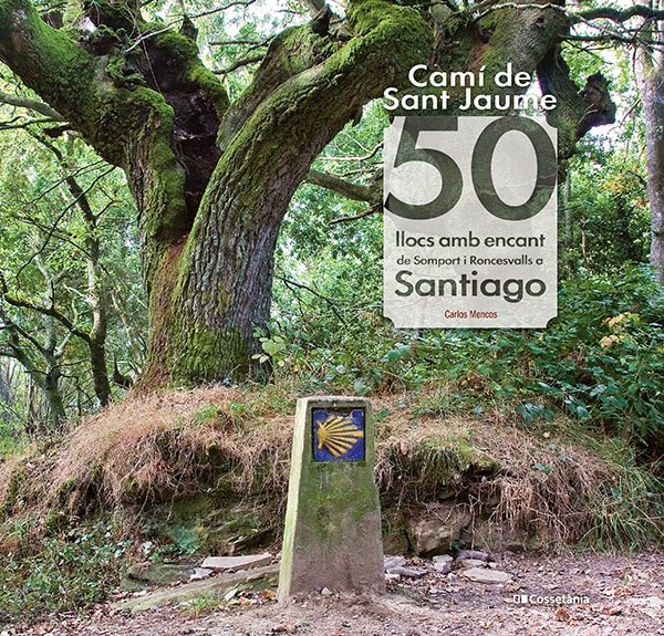 CAMI DE SANT JAUME: 50 LLOCS AMB ENCANT DE SOMPORT I RONCESVALLS, de MENCOS ARRAIZA, CARLOS | portada del libro