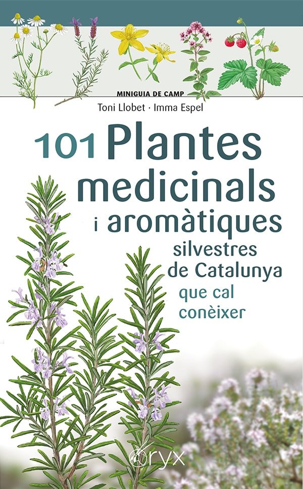 101 PLANTES MEDICINALS I AROMATIQUES SILVESTRES DE CATALUNYA QUE CAL CONEIXER | portada del libro