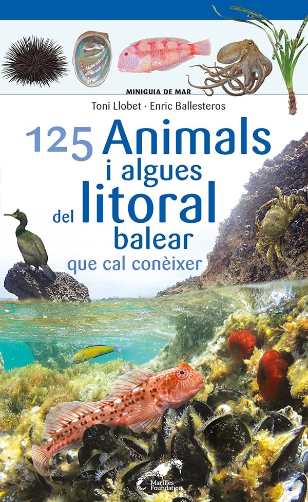 125 ANIMALS I ALGUES DEL LITORAL BALEAR QUE CAL CONEIXER, de ENRIC BALLESTEROS | portada del libro