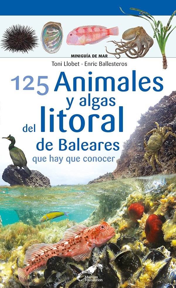 125 Animales y algas del litoral de Baleares que hay que conocer, de ENRIC BALLESTEROS | portada del libro