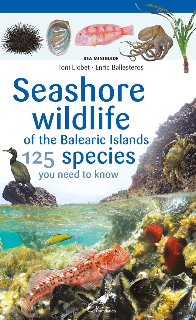 Seashore wildlife of the Balearic Islands, de ENRIC BALLESTEROS | portada del libro