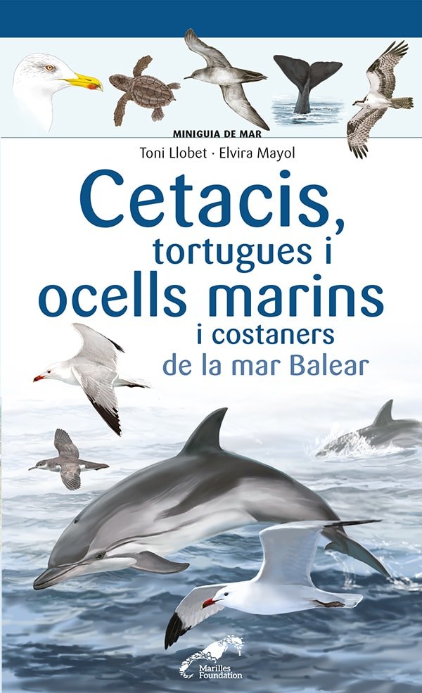 Cetacis, tortugues i ocells marins i costaners de la mar Balear, de ELVIRA MAYOL | portada del libro