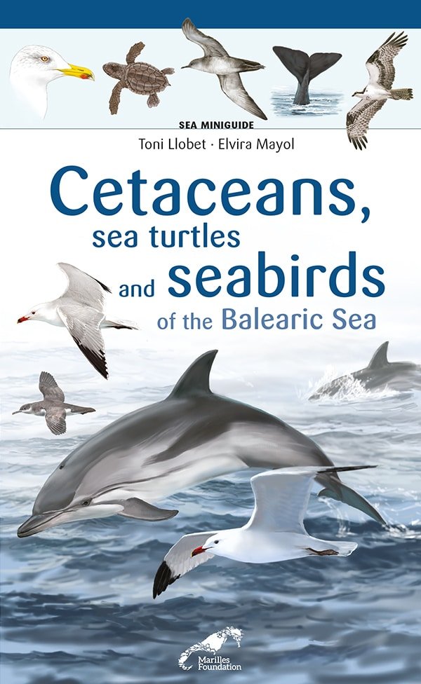 Cetaceans, sea turtles and seabirds of the Balearic Sea, de ELVIRA MAYOL | portada del libro