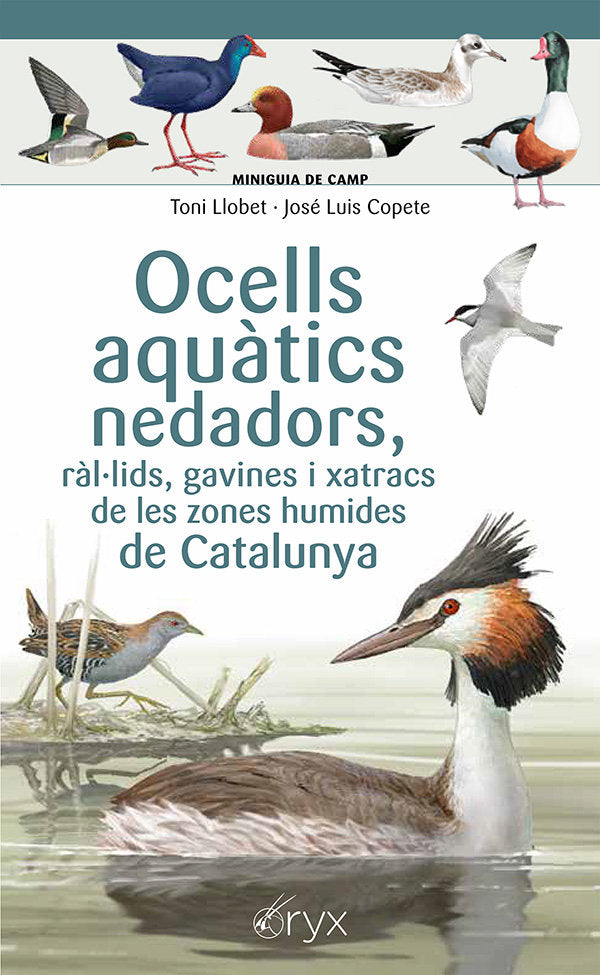 OCELLS AQUATICS NEDADORS, RAL·LIDS, GAVINES I XATRACS DE LES ZONES HUMIDES DE CA, de COPETE, JOSE LUIS | portada del libro