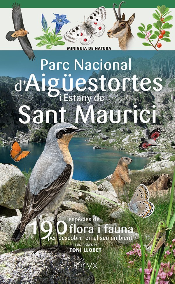 PARC NACIONAL D'AIGUESTORTES I ESTANY DE SANT MAURICI, de LLOBET FRANÇOIS, TONI | portada del libro