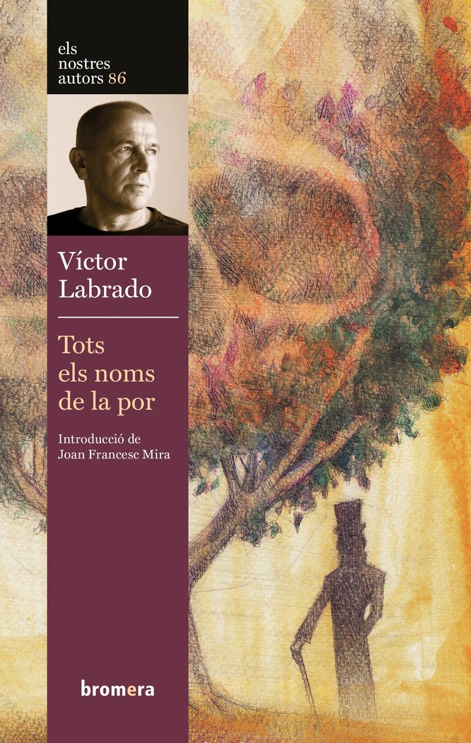 Tots els noms de la por, de VICTOR LABRADO | portada del libro