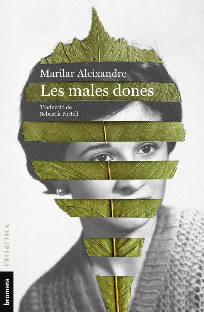 LES MALES DONES, de MARILAR ALEIXANDRE | portada del libro