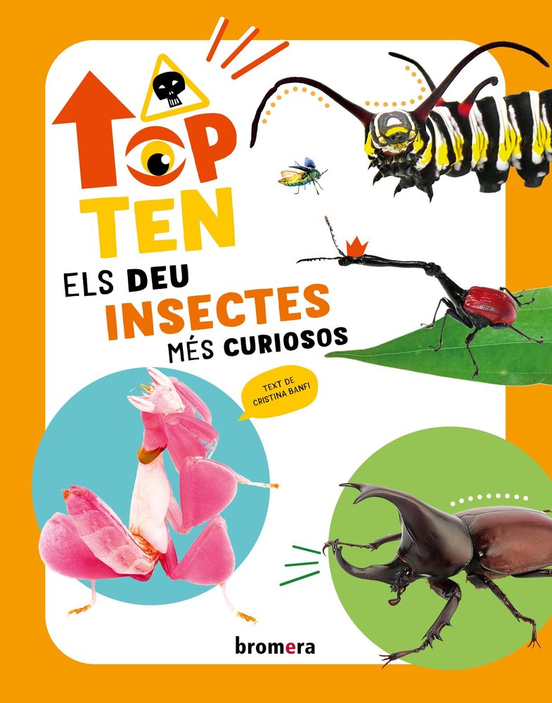 TOP TEN ELS DEU INSECTES MES CURIOSOS, de CRISTINA BANFI | portada del libro