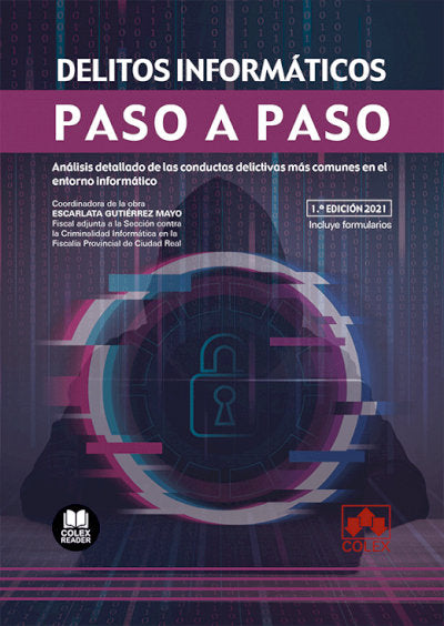DELITOS INFORMATICOS PASO A PASO | portada del libro