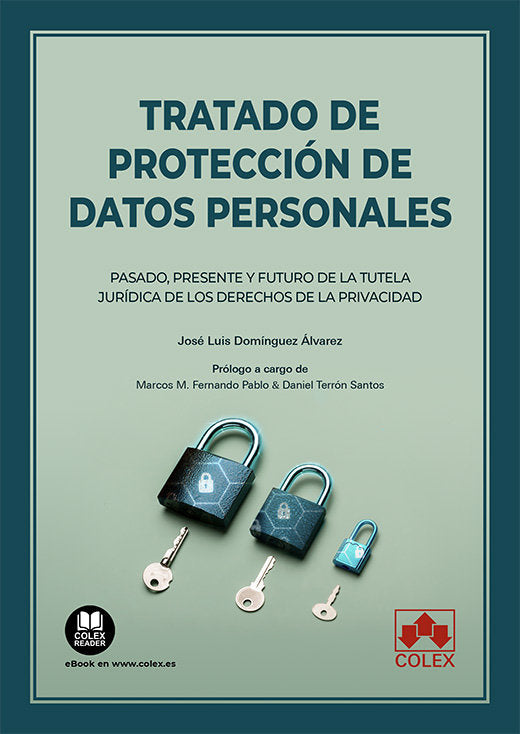 TRATADO DE PROTECCION DE DATOS PERSONALES, de DOMINGUEZ ALVAREZ | portada del libro