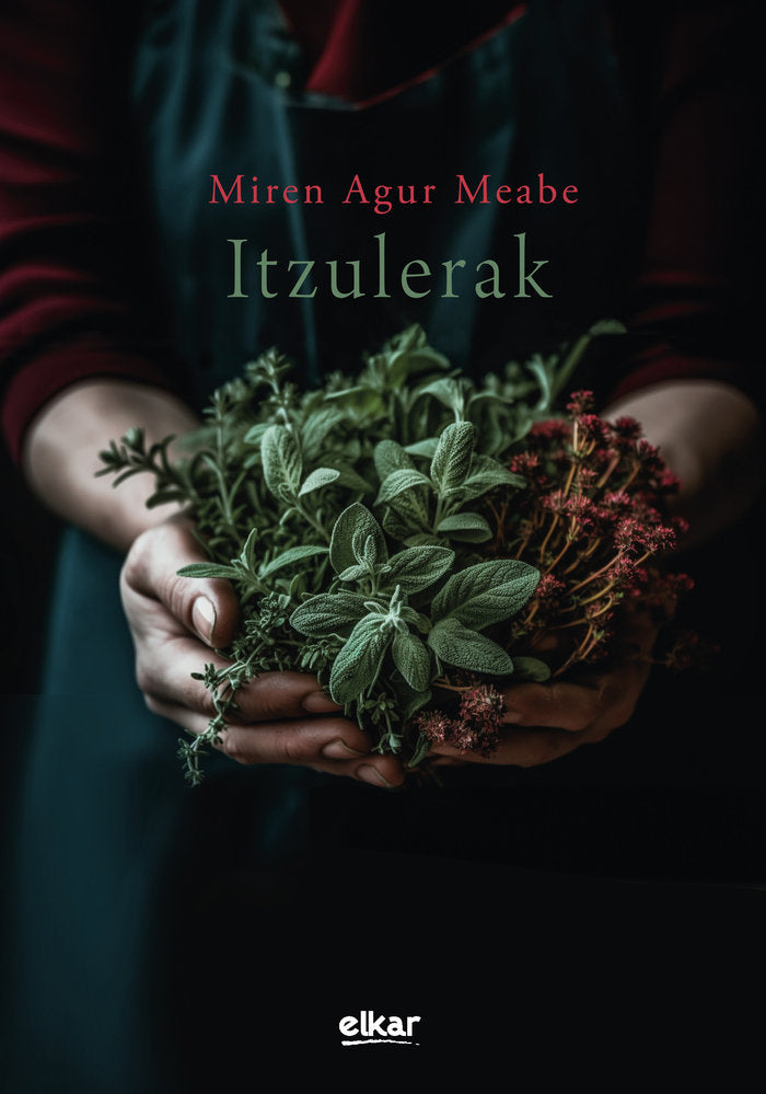 Itzulerak, de MEABE PLAZA, MIREN AGUR | portada del libro