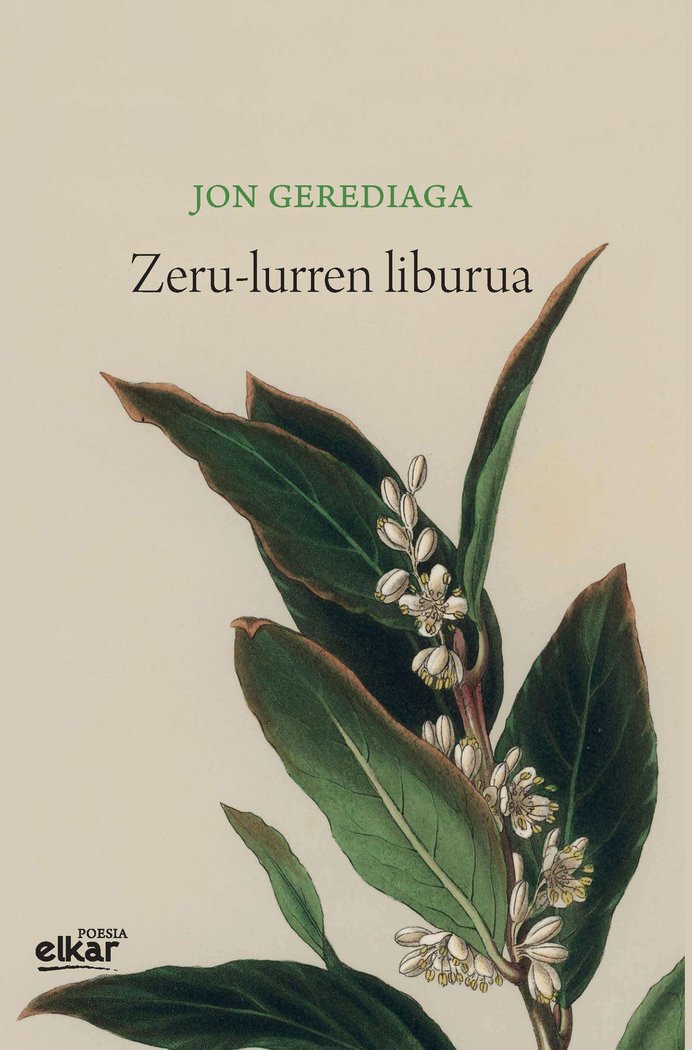 Zeru-lurren liburua (Irun hiria poesia), de GEREDIAGA GOITIA, JON | portada del libro