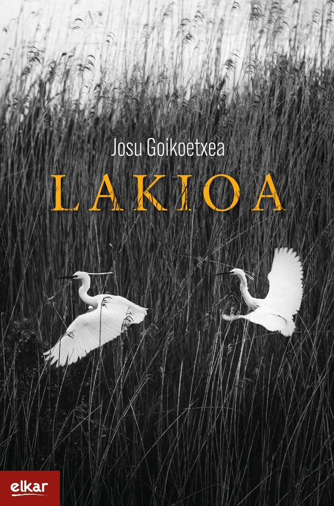 LAKIOA, de GOIKOETXEA GEZURAGA, JOSU | portada del libro