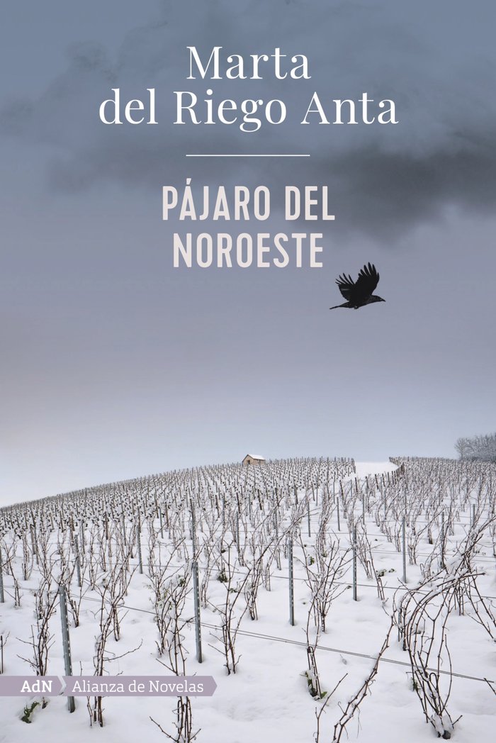 Pájaro del noroeste (AdN), de Riego, Marta del | portada del libro