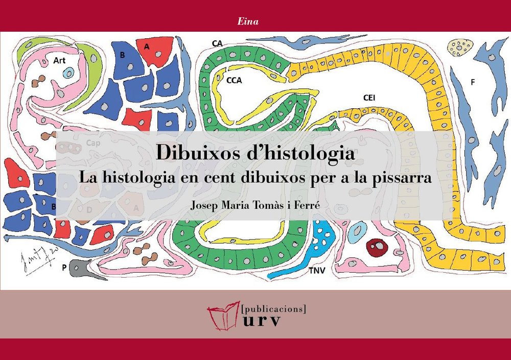 DIBUIXOS D'HISTOLOGIA. LA HISTOLOGIA EN CENT DIBUIXOS PER A LA PISSARRA, de TOMAS I FERRE, JOSEP MARIA | portada del libro