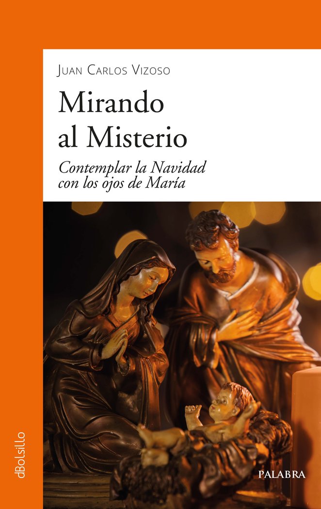 MIRANDO AL MISTERIO, de VIZOSO, JUAN CARLOS | portada del libro