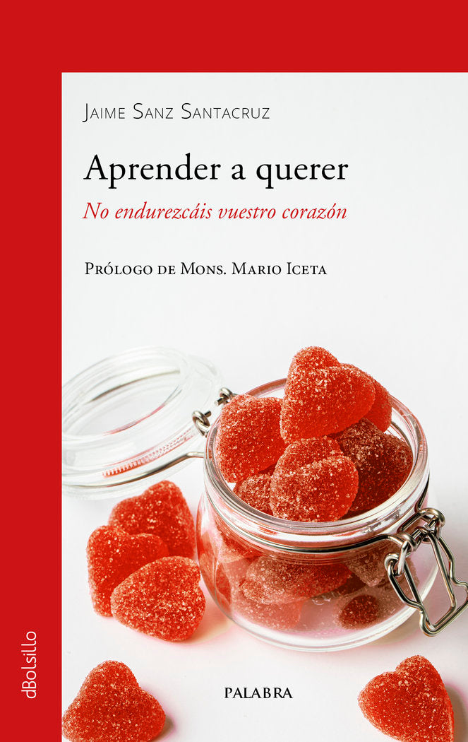 APRENDER A QUERER, de SANZ SANTACRUZ, JAIME | portada del libro