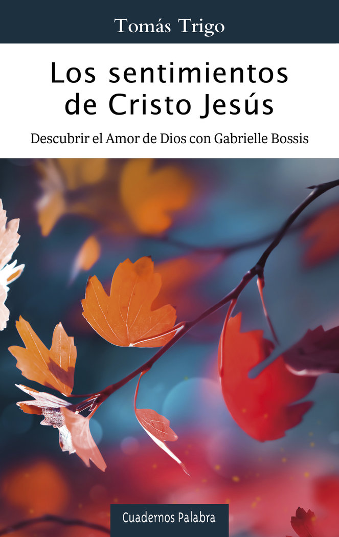 LOS SENTIMIENTOS DE CRISTO JESUS, de TRIGO, TOMAS | portada del libro