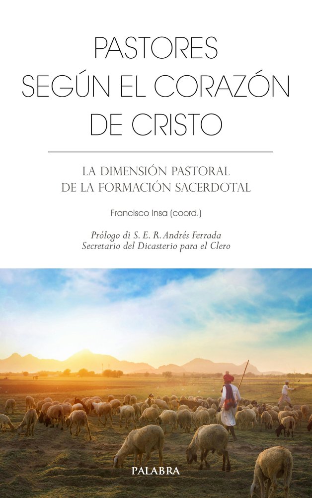 PASTORES SEGUN EL CORAZON DE CRISTO, de INSA GOMEZ, FRANCISCO JAVIER | portada del libro