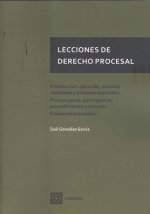 LECCIONES DERECHO PROCESAL PROCESO CIVIL EJECUCION, de GONZALEZ GARCIA,SAUL | portada del libro