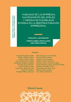 VIABILIDAD DE LAS EMPRESAS MANTENIMIENTO DEL EMPLEO MEDIDA, de POMPEYO GABRIEL ORTEGA LOZANO | portada del libro