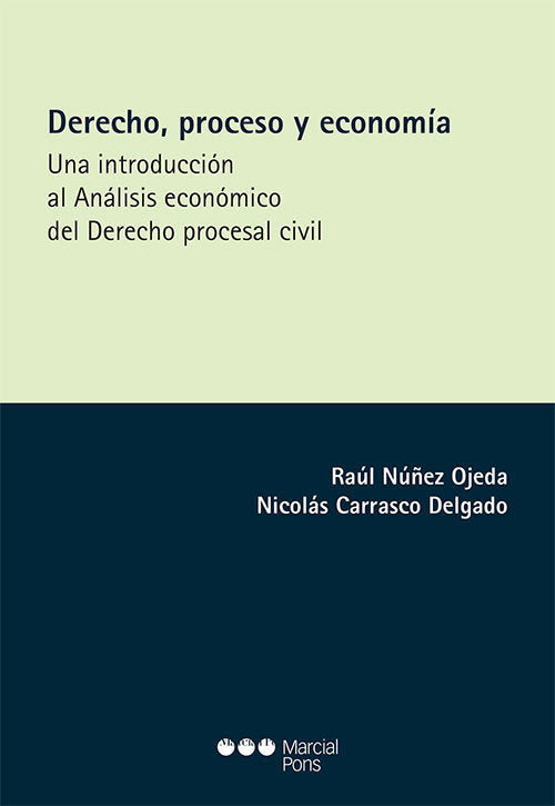 DERECHO PROCESO Y ECONOMIA, de NUÑEZ OJEDA, RAUL | portada del libro