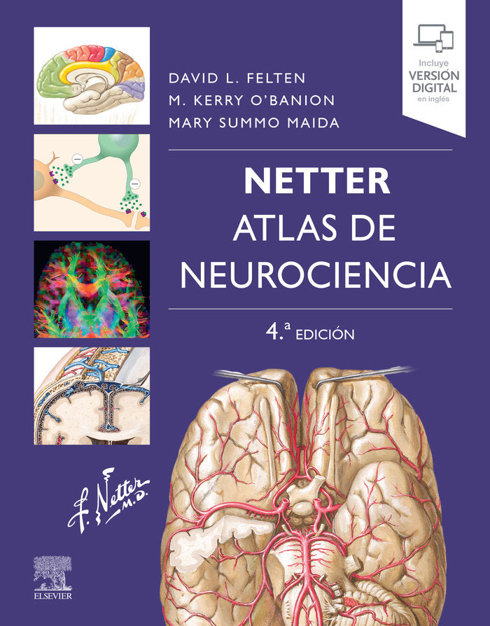 NETTER ATLAS DE NEUROCIENCIA 4ª ED, de FELTEN, DAVID L. | portada del libro