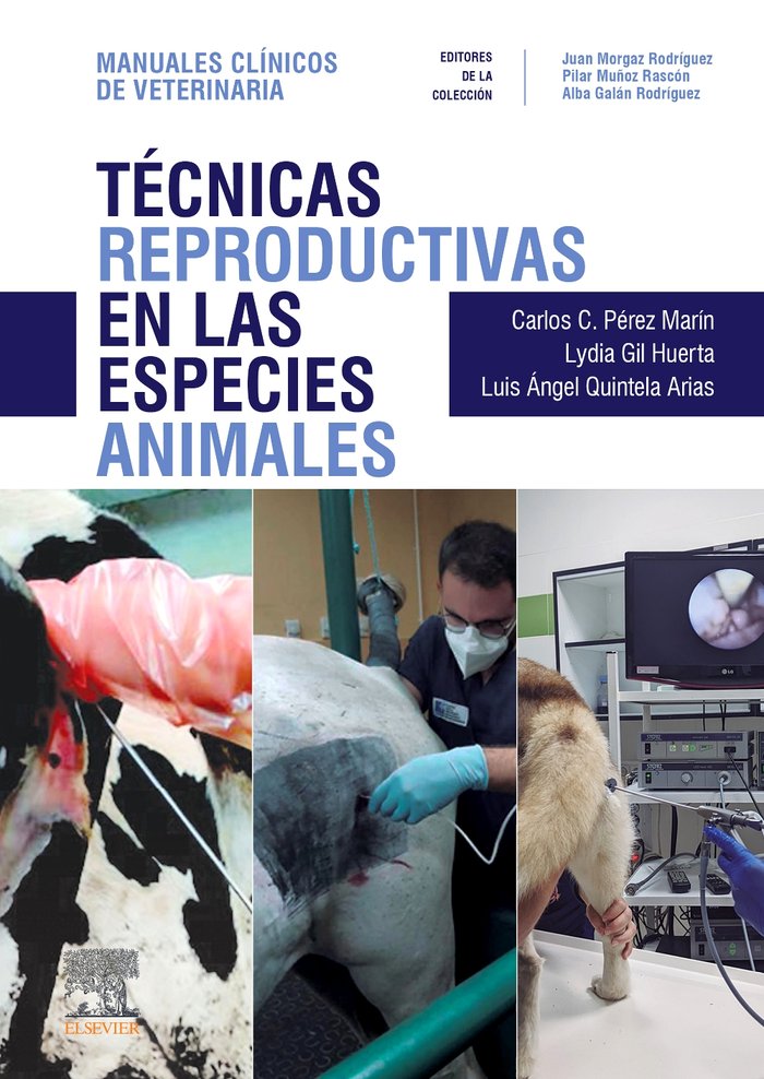 TECNICAS REPRODUCTIVAS EN LAS ESPECIES ANIMALES, de PEREZ MARTIN | portada del libro