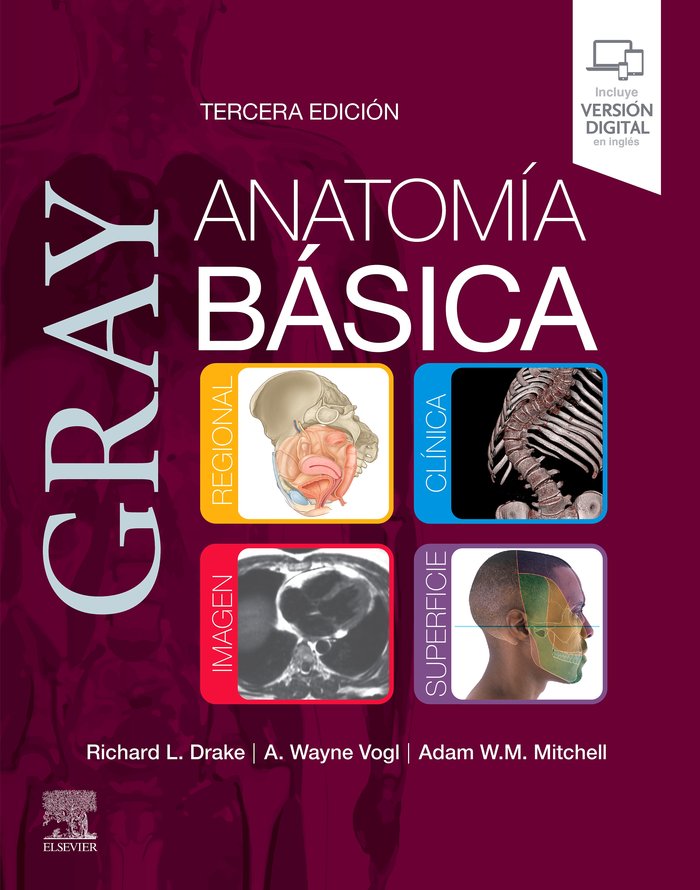 GRAY ANATOMIA BASICA, de AA.VV. | portada del libro