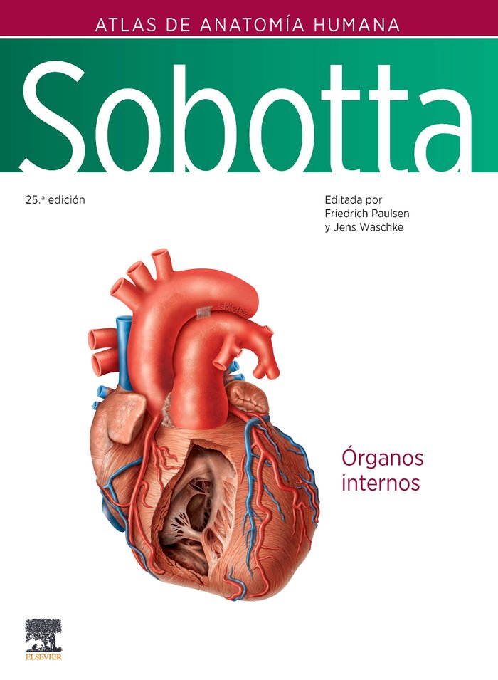 SOBOTTA ATLAS DE ANATOMIA HUMANA VOL 2 25ª ED, de PAULSEN | portada del libro