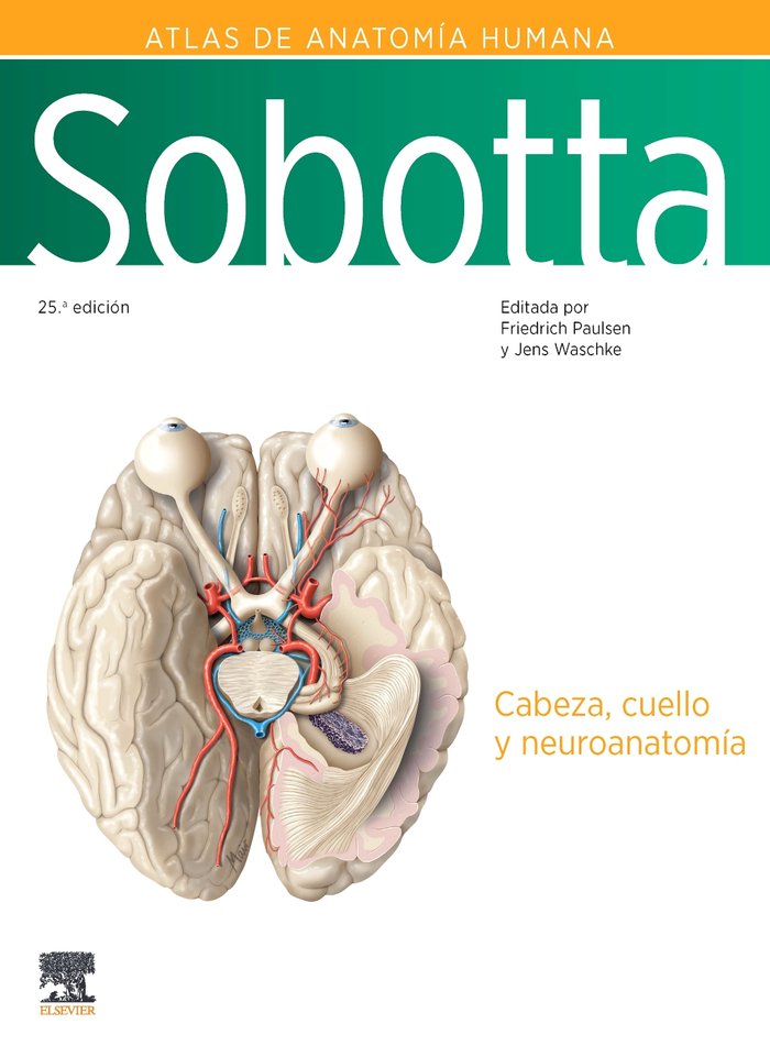 SOBOTTA ATLAS DE ANATOMIA HUMANA VOL 3 25ª ED, de PAULSEN | portada del libro