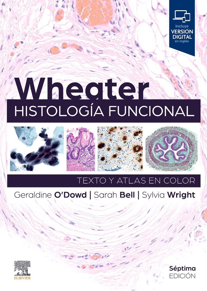 WHEATER HISTOLOGIA FUNCIONAL 7ª ED, de ODOWD | portada del libro
