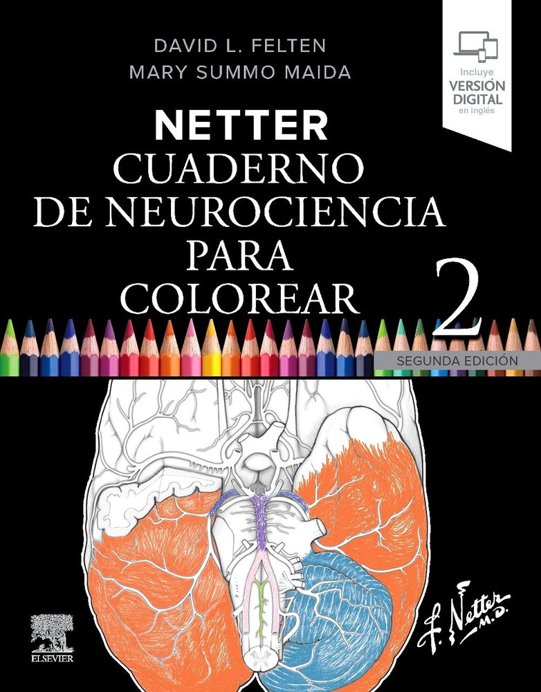 Netter:cuaderno neurociencia para colorear, de FELTEN | portada del libro