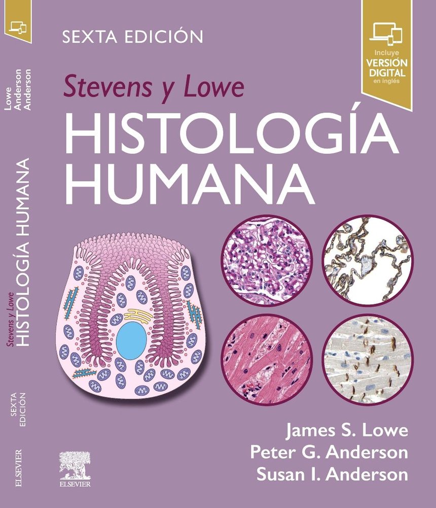 STEVENS Y LOWE. HISTOLOGIA HUMANA, de LOWE | portada del libro