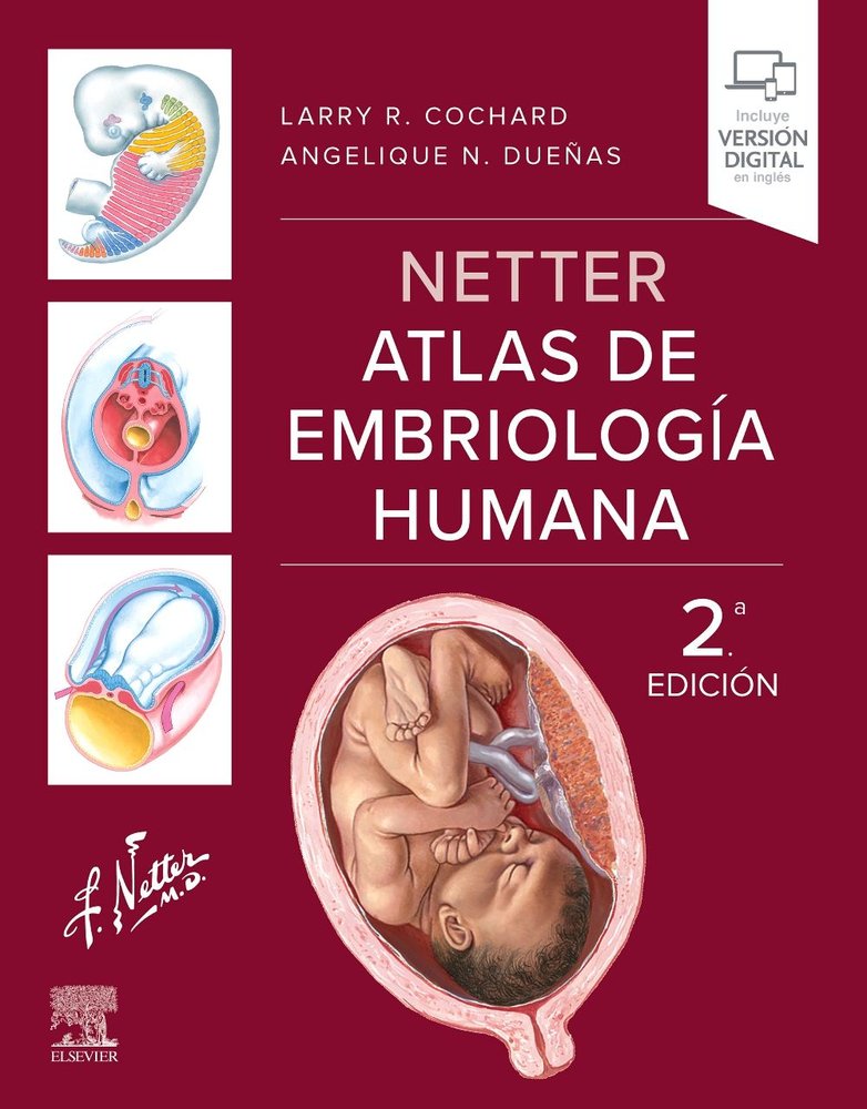 NETTER ATLAS DE EMBRIOLOGIA HUMANA 2ª ED, de COCHARD | portada del libro