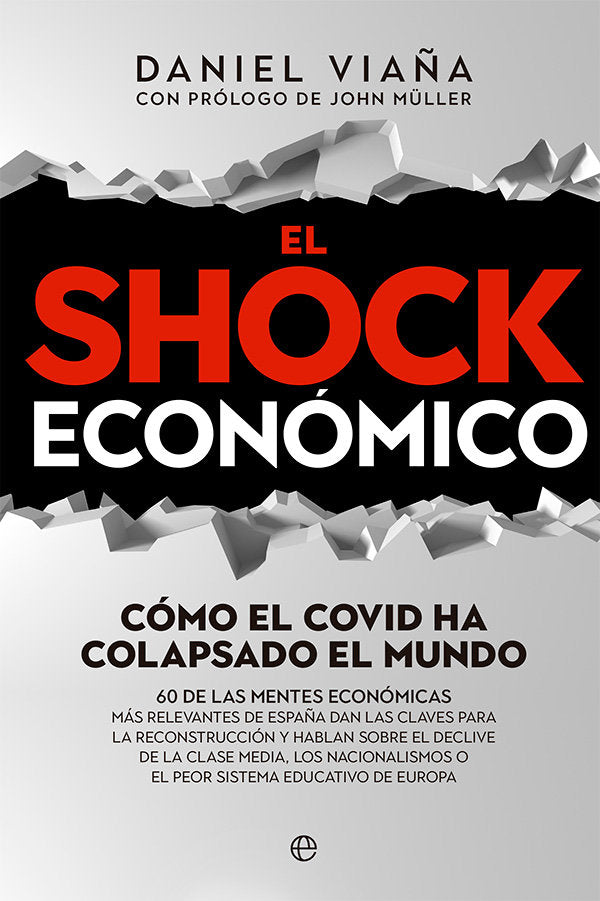 EL SHOCK ECONOMICO, de VIAÑA, DANIEL | portada del libro
