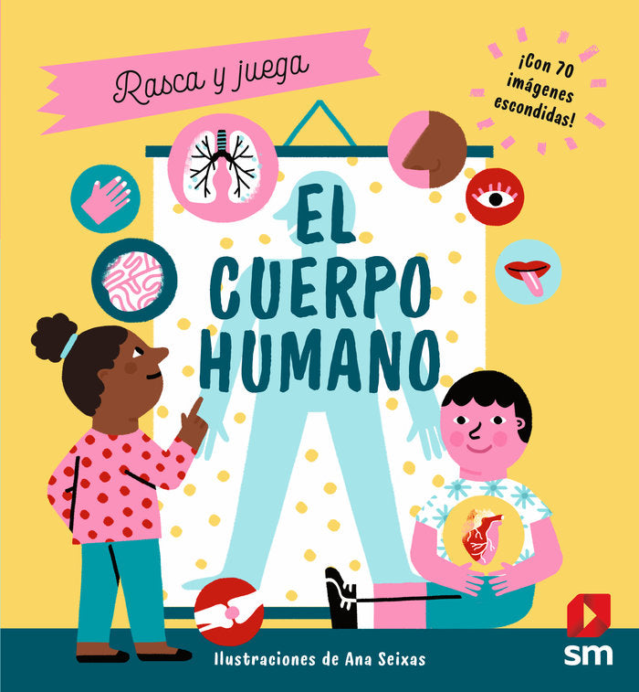 EL CUERPO HUMANO, de FLINT, KATHY | portada del libro