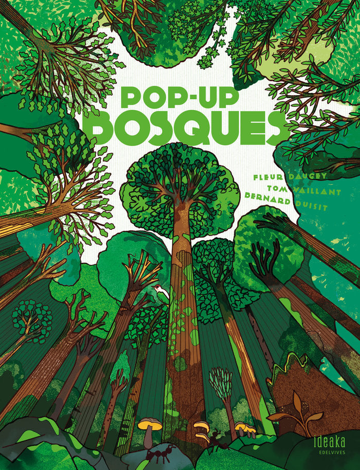 Pop-up Bosques, de FLEUR DAUGEY | portada del libro