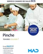025 VOL1 PINCHE, de Varios autores | portada del libro