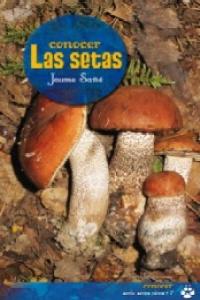 Conocer las setas, de Sañé i Pons, Jaume | portada del libro