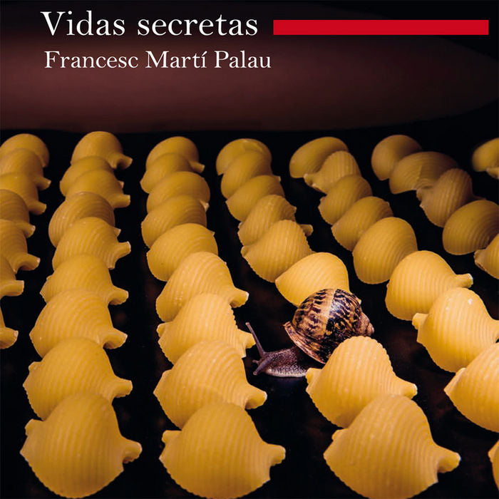 VIDAS SECRETAS, de FRANCESC MARTí PALAU | portada del libro