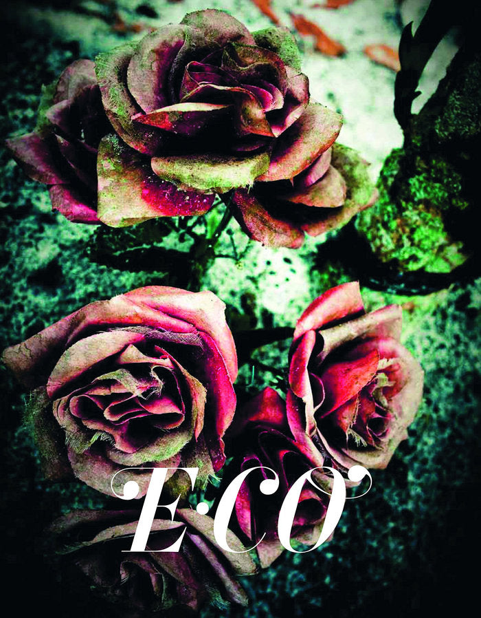 E.CO, de Carreras Guillén, Claudi | portada del libro