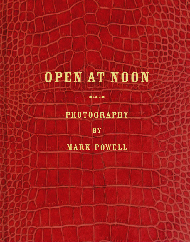 Open at Noon, de Powell, Mark | portada del libro