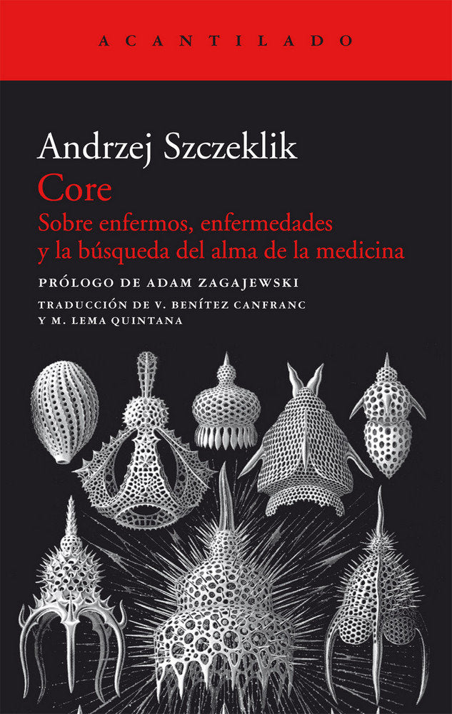 Core, de Szczeklik, Andrzej | portada del libro