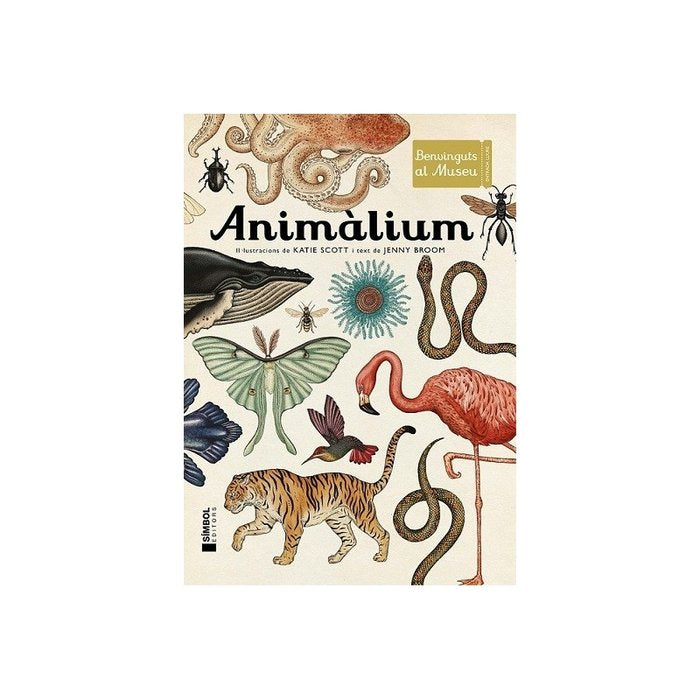 Animàlium, de Scot, Katie | portada del libro