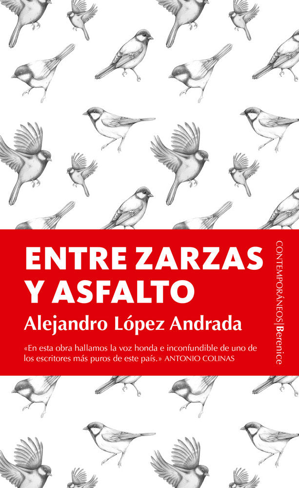 Entre zarzas y asfalto, de López Andrada, Alejandro | portada del libro