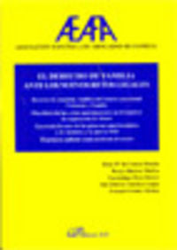 El derecho de familia ante los nuevos retos legales, de Castro Martín [et al.] | portada del libro